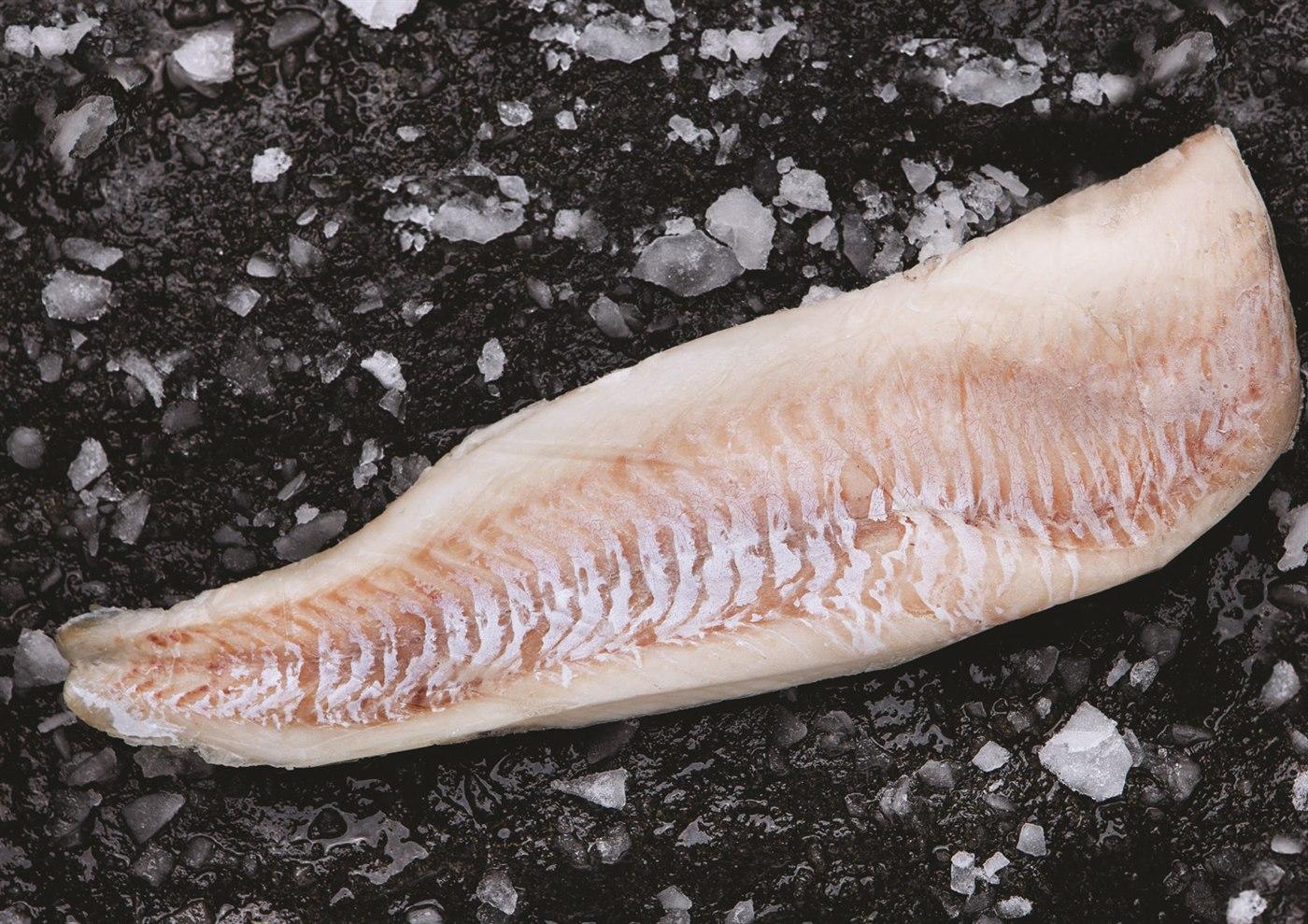 Plamiak (Melanogrammus aeglefinus) — charakterystyczna ciemna plama nad płetwą piersiową
